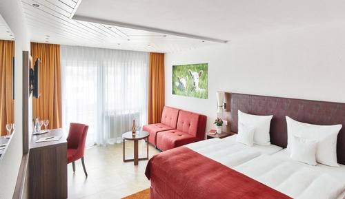 Habitación Premium (Superior)