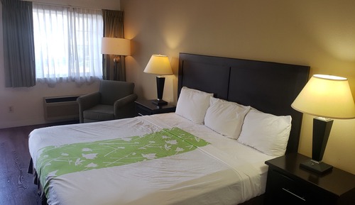 Habitación estándar, 1 cama de matrimonio grande