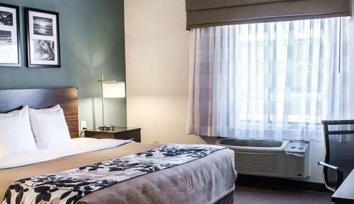 Habitación estándar, 1 cama de matrimonio grande, no fumadores