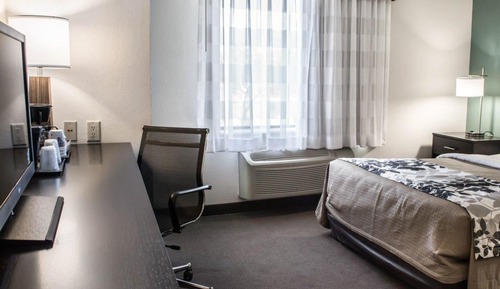 Suite, 1 cama de matrimonio grande con sofá cama, accesible para personas con discapacidad