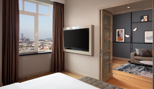 Suite ejecutiva, 1 cama de matrimonio grande, no fumadores