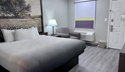 Habitación estándar, 1 cama de matrimonio grande