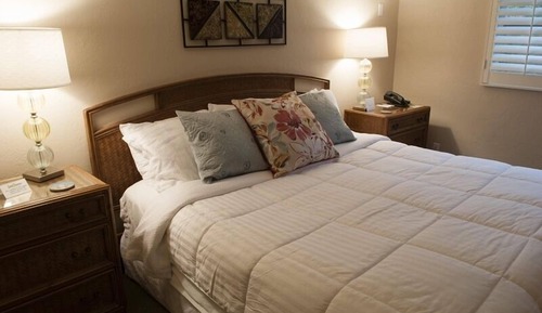Suite (Tropical Courtyard Suite with Jacuzzi)