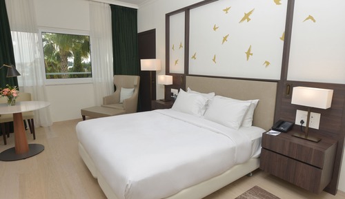 Habitación, 1 cama de matrimonio grande