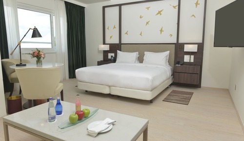 Habitación ejecutiva, 1 cama de matrimonio grande