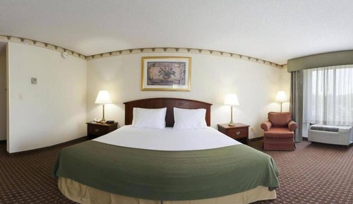 Habitación estándar, 1 cama de matrimonio grande