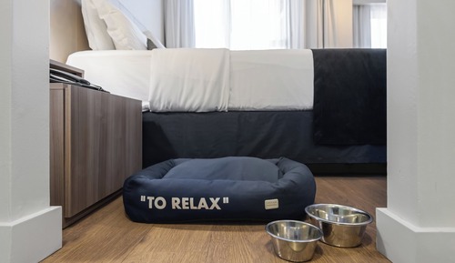 Suite estudio, 1 cama de matrimonio, cocina (Pet Friendly)