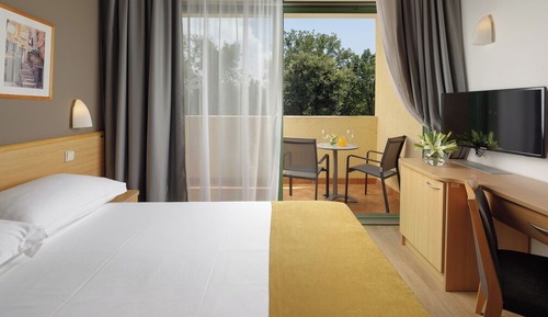 Economy room with french bed and balcony, Park side