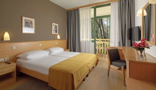 Classic room with balcony, Park side