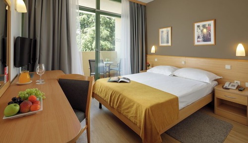 Superior room with balcony, Park side