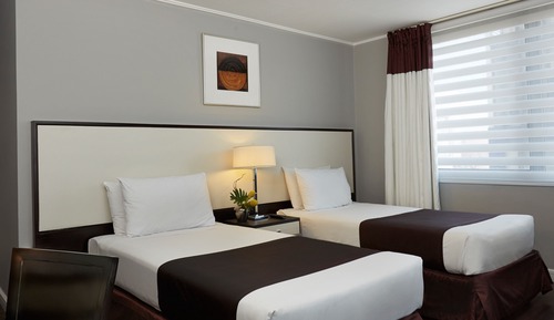 Suite, 1 habitación