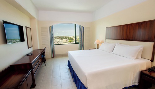 Suite, 1 cama de matrimonio grande, vistas a la ciudad