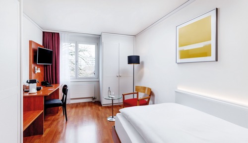 Habitación estándar, 1 cama individual