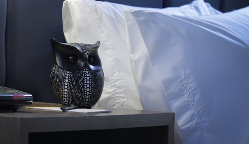 Suite, 1 cama de matrimonio