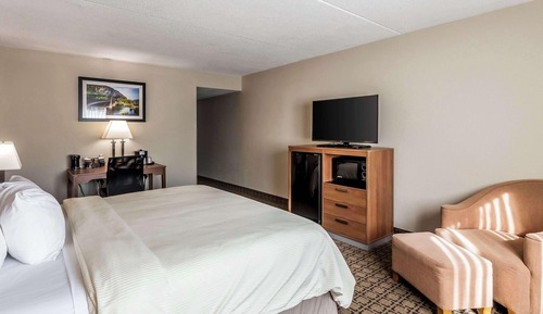 Habitación estándar, 1 cama de matrimonio grande, no fumadores