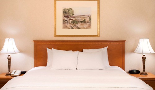 Habitación, 1 cama de matrimonio grande, accesible para personas con discapacidad, no fumadores