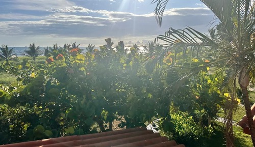 Ocean Front Suite, 1 Bedroom