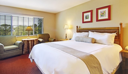 Suite estándar, 1 cama de matrimonio grande, chimenea (Non Pet-Friendly)