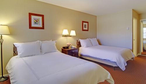 Habitación estándar, 2 camas dobles (Pet Friendly)