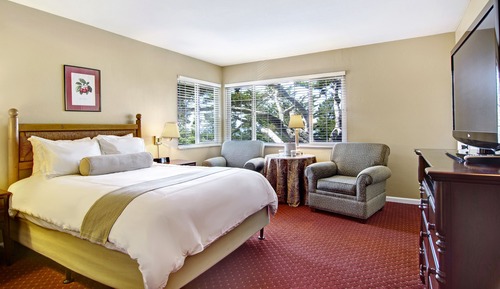 Habitación estándar, 1 cama de matrimonio grande, bañera de hidromasaje (Pet Friendly)