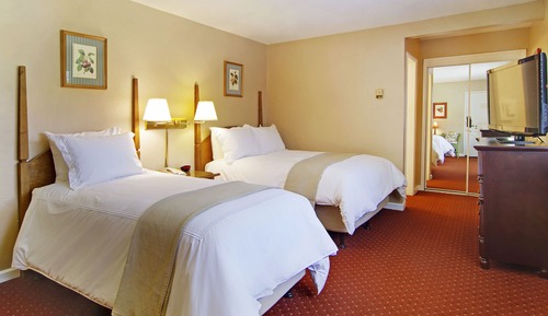 Habitación económica, varias camas (Pet-Friendly)