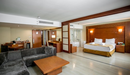 Suite, 1 cama de matrimonio (Additional Living Area)