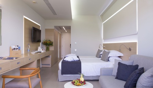 Habitación Deluxe con 2 camas individuales