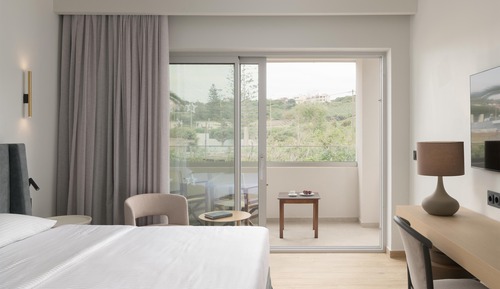 Standard twin/double room garden view