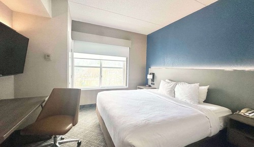 Habitación estándar, 1 cama de matrimonio grande, no fumadores