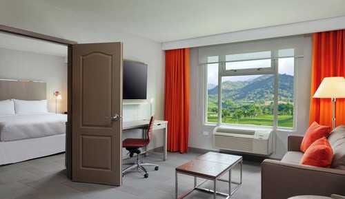 Suite, 1 cama de matrimonio grande con sofá cama