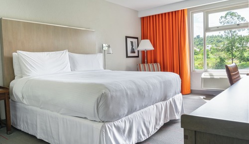 Habitación estándar, 1 cama de matrimonio grande