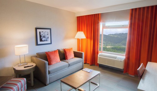 Suite Deluxe, 1 cama de matrimonio grande con sofá cama, vistas a la piscina