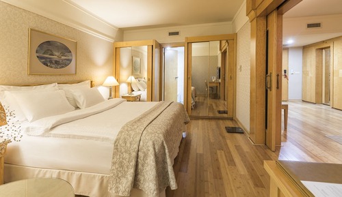 Suite, 1 cama de matrimonio con sofá cama (1 Queen  Bed )