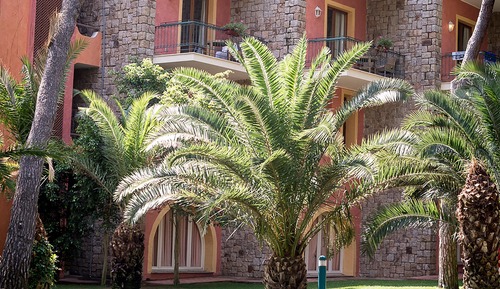 Habitación doble superior, en la zona del jardín