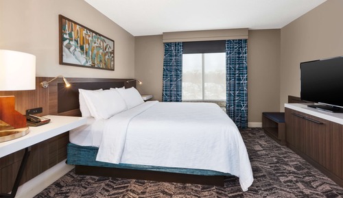 Suite, 1 cama de matrimonio grande con sofá cama