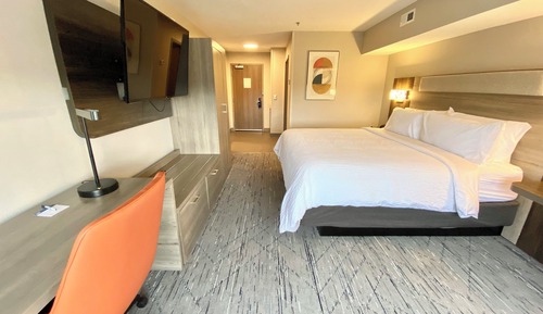 Habitación estándar, 1 cama de matrimonio grande (Walk-In Shower)