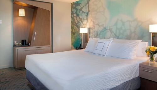 Habitación, 1 cama de matrimonio grande con sofá cama (Mobility/Hearing Access, Roll-in Shwr)
