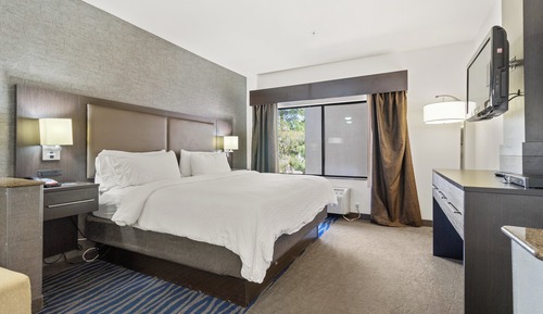 Suite, 1 cama de matrimonio grande, bañera accesible (Communications, Accessible Tub)