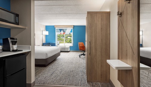 Habitación estándar, 1 cama de matrimonio grande, accesible en silla de ruedas (Roll-In Shower)