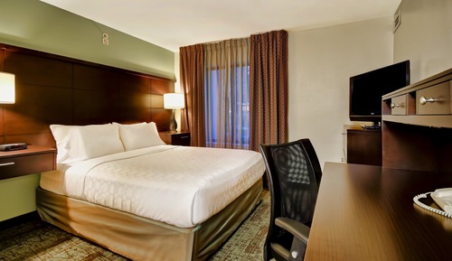 Suite estudio