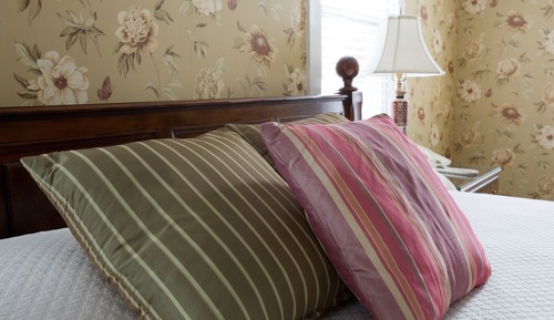 Deluxe Room Queen Bed Fireplace & Private Shower 