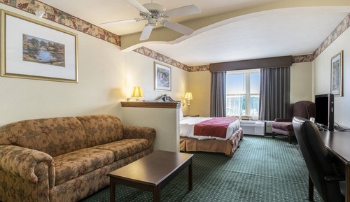 Suite estudio, 1 cama de matrimonio grande, no fumadores