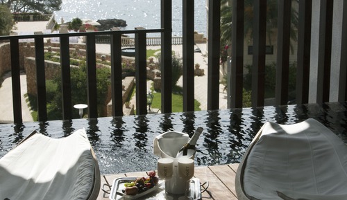 Habitación Deluxe, piscina privada (Natura)