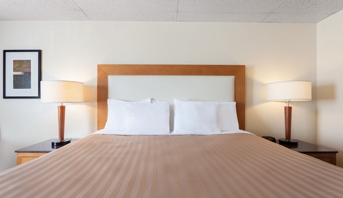 Suite, 1 cama de matrimonio grande, no fumadores (One-Bedroom)
