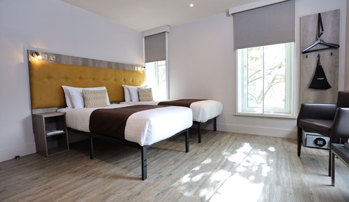 Habitación estándar con 2 camas individuales