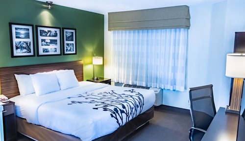 Habitación, 1 cama de matrimonio grande, accesible para personas con discapacidad, no fumadores