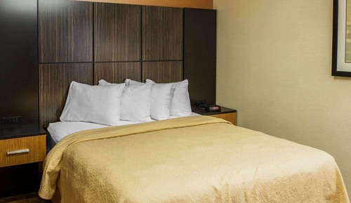 Habitación estándar, 1 cama de matrimonio grande, no fumadores