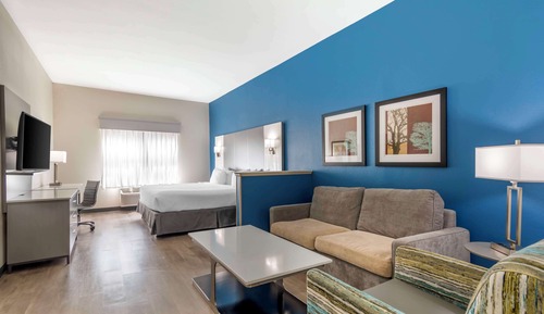 Suite, 1 cama de matrimonio grande, no fumadores, frigorífico y microondas