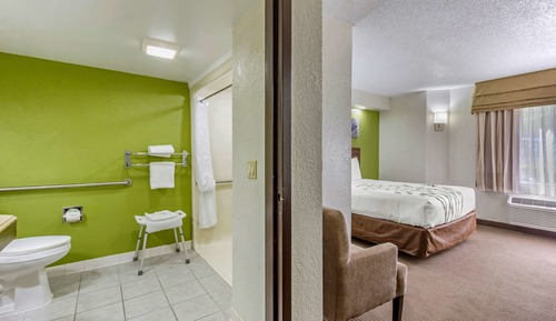 Habitación, 1 cama doble, accesible para personas con discapacidad, no fumadores
