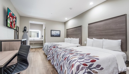 Habitación Deluxe, 2 camas de matrimonio, fumadores